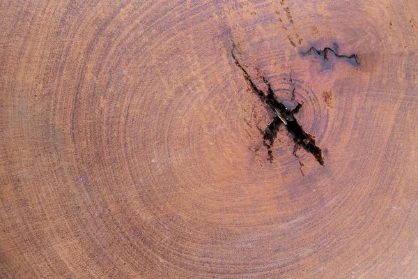 Textura de madera fondo — Foto de Stock