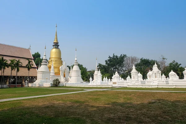 Goldene Pagode im Wat Suan Dok Tempel, Chiang Mai, Thailand — Stockfoto