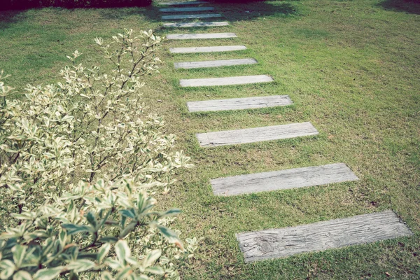 Pavimento de camino de piedra en el jardín de hierba verde — Foto de Stock
