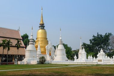 Golden pagoda wat suan dok Tapınağı, chiang mai, Tayland
