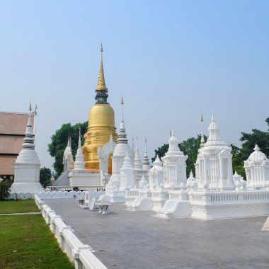 Golden pagoda wat suan dok Tapınağı, chiang mai, Tayland