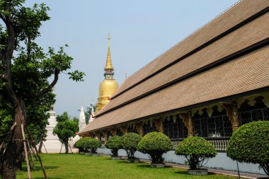 Golden pagoda wat suan dok Tapınağı, chiang mai, Tayland