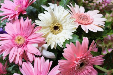 çiçek düğün dekorasyon, güzel gerbera çiçek çiçeklenme