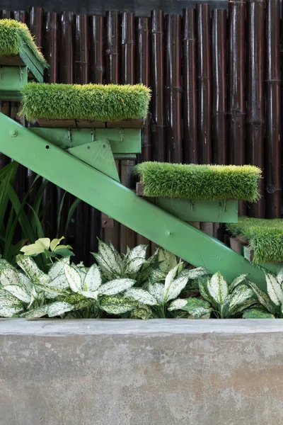 Зеленая лестница травы в саду, внутреннее убранство дома сад — стоковое фото