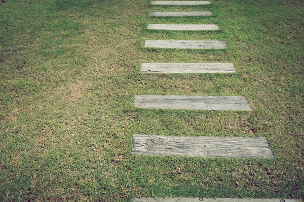 Pavimento de camino de piedra en el jardín de hierba verde — Foto de Stock