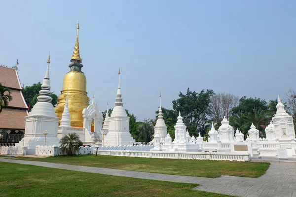 Golden pagoda wat suan dok Tapınağı, chiang mai, Tayland — Stok fotoğraf