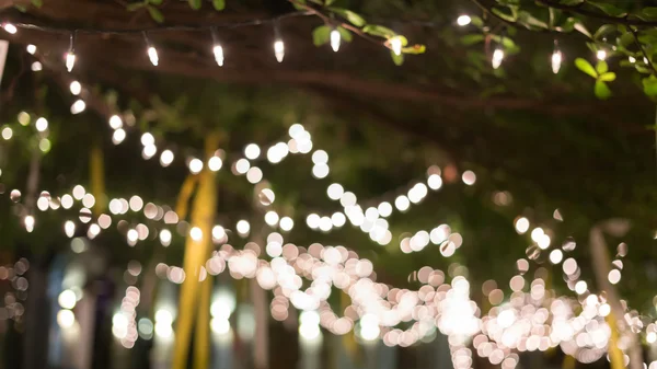 Světelné dekorace vánoční oslavu visí na stromě — Stock fotografie