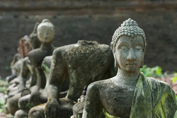 Statua buddha in wat umong, chiang mai, viaggiare nel nord della Thailandia — Foto Stock