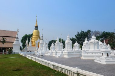 Golden pagoda wat suan dok Tapınağı, chiang mai, Tayland