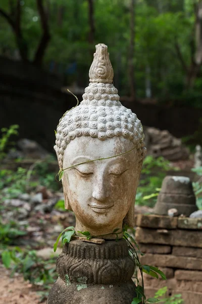 Statua buddha in wat umong, chiang mai, viaggiare nel nord della Thailandia — Foto Stock