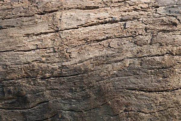 Droge huid houtstructuur van leeftijd hardhout achtergrond — Stockfoto