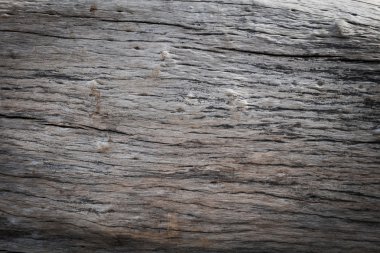 Kuru Cilt ahşap doku yaşlı ahşap arka plan