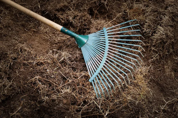 Trabajos de jardinería, preparación de tierra en el jardín con pala de rastrillo — Foto de Stock