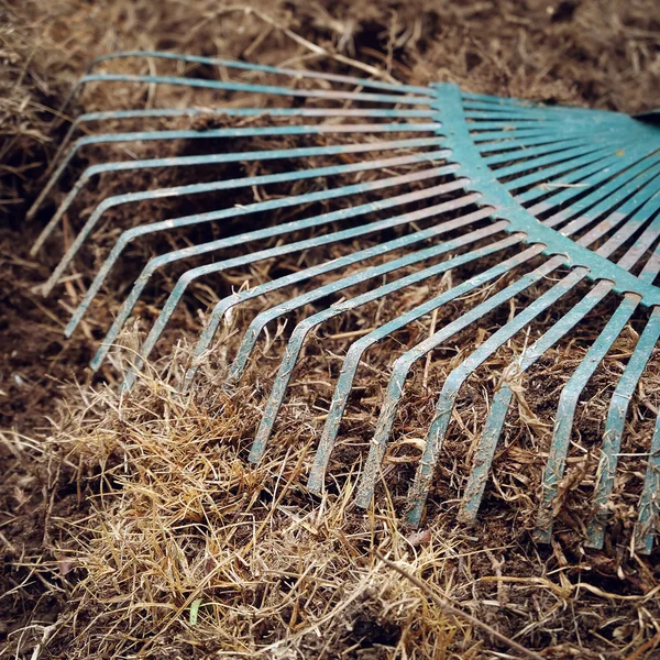 Udvari munka, kerti gereblye a shoveling talaj előkészítés — Stock Fotó