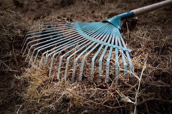 Trabajos de jardinería, preparación de tierra en el jardín con pala de rastrillo — Foto de Stock