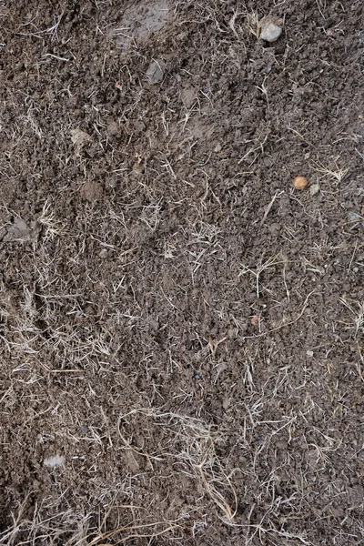 yard work, preparation soil in garden with dry grass