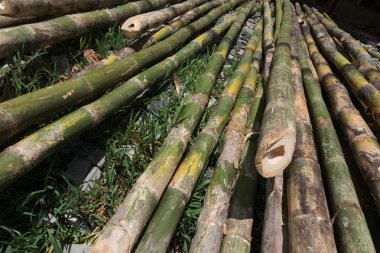 Bambu stick yığın hazırlamak için inşaat malzemesi