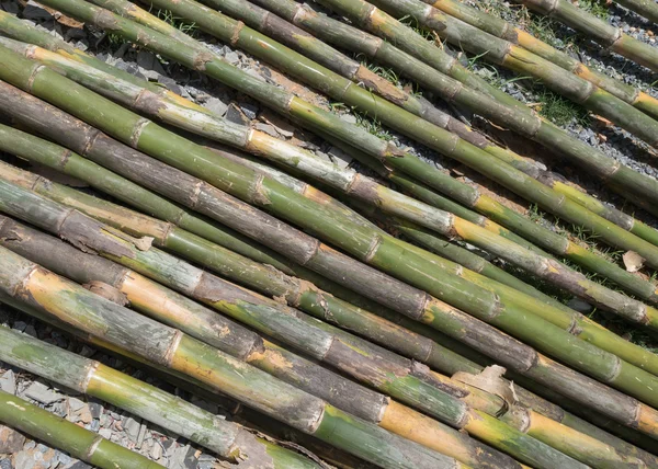 대나무 막대기의 더미의 건축 재료에 대 한 준비 — 스톡 사진