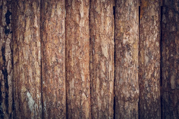 木で作られた木製の壁樹皮テクスチャを持つログ — ストック写真
