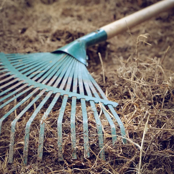 Trabajos de jardinería, preparación de tierra en el jardín con rastrillo —  Fotos de Stock