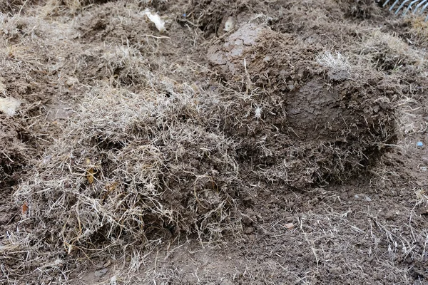 Pracy, przygotowanie gleby w ogrodzie z suchej trawy stoczni — Zdjęcie stockowe