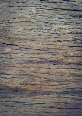 Kuru Cilt ahşap doku yaşlı ahşap arka plan