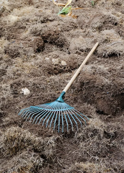 Trabajos de jardinería, preparación de tierra en el jardín con rastrillo —  Fotos de Stock