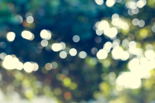 Solljus genom blad på träd, bild oskärpa bokeh bakgrund — Stockfoto