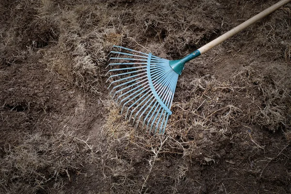 yard work, preparation soil in garden with rake