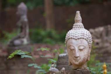 Buda heykeli wat umong, chiang mai, Tayland seyahat etmek tapınak