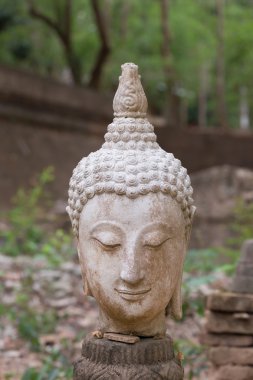 Buda heykeli wat umong, chiang mai, Tayland seyahat etmek tapınak