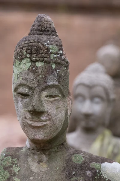 Statua buddha in wat umong, chiang mai, viaggio tempio thai — Foto Stock