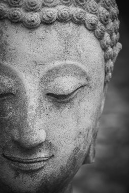 Buda heykeli wat umong, chiang mai, Tayland seyahat etmek tapınak