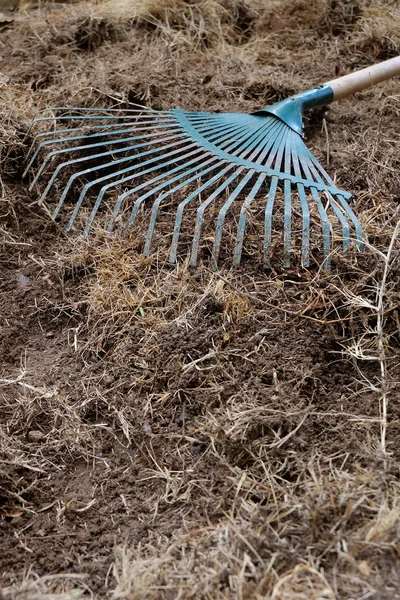 Yard work, preparation soil in garden with rake — Stock Photo, Image