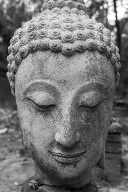 Buda heykeli wat umong, chiang mai, Tayland seyahat etmek tapınak