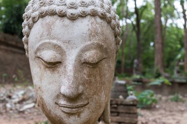 Buda heykeli wat umong, chiang mai, Tayland seyahat etmek tapınak