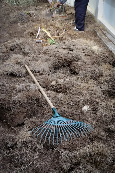 Trabajos de jardinería, preparación de tierra en el jardín con rastrillo — Foto de Stock