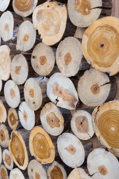 Piccolo pezzo di tronchi di legno utilizzato per interni decorati di design — Foto Stock
