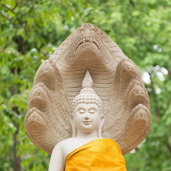 Boeddha standbeeld in wat umong, chiang mai, reizen Thaise tempel — Stockfoto