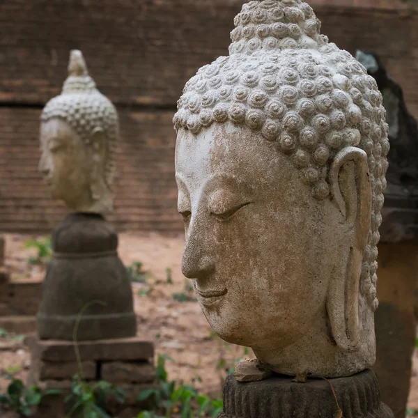 Estátua de buddha em wat umong, chiang mai, viajar templo tailandês — Fotografia de Stock