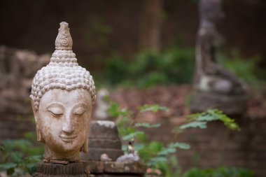 Buda heykeli wat umong, chiang mai, Tayland seyahat etmek tapınak