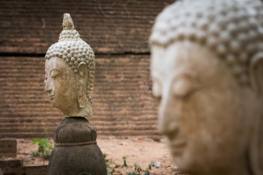 Buda heykeli wat umong, chiang mai, Tayland seyahat etmek tapınak