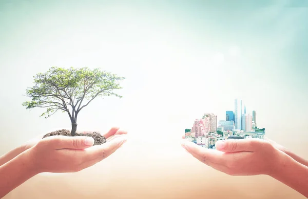 World Environment Day Concept Two Human Hands Holding Big Tree — Stock Photo, Image