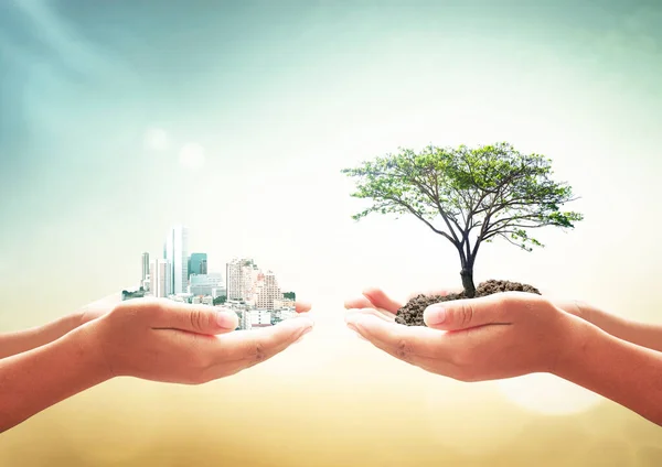 World environment day concept: Two human hands holding big tree and city over blurred nature background