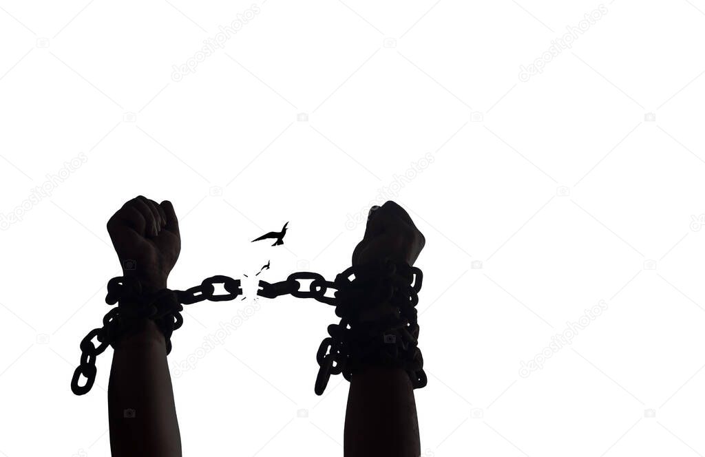 International day for the remembrance of the slave trade and its abolition concept: Silhouette slave hands raising and broken chains with bird flying isolated on white background