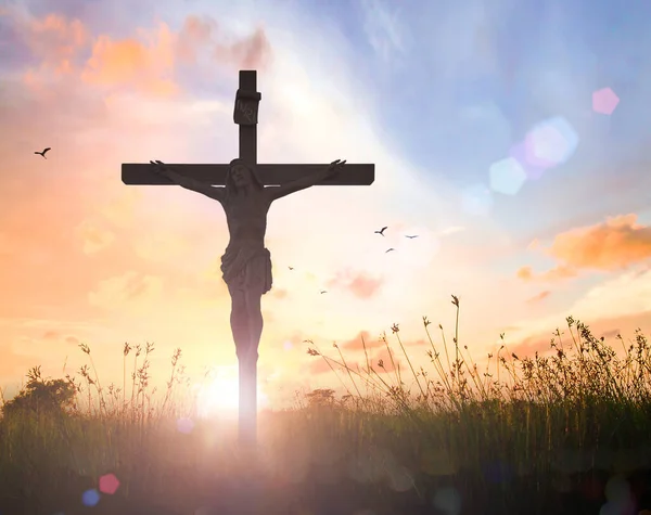 Christliches Hintergrundkonzept Silhouette Jesus Christus Und Kreuz Über Wiese — Stockfoto