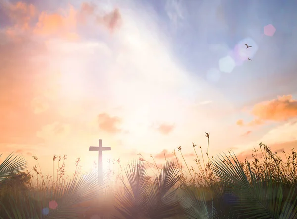 Palm Sunday Concept Silhouette Cross Empty Tombstone Palm Leaves Meadow