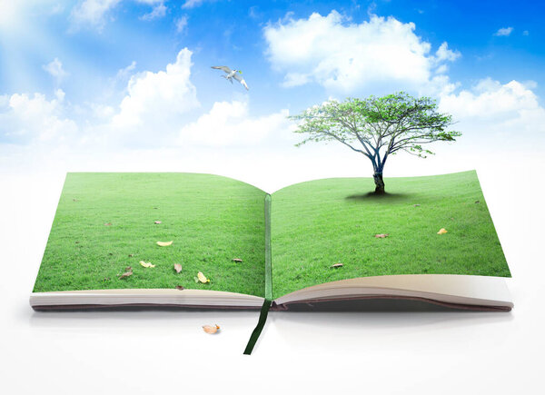 World environment day concept: Opening book of nature with bird flying over blue sky background