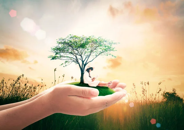 Global Autism Folkhälsoprogram Koncept Lärare Händer Hålla Vackra Träd Och — Stockfoto