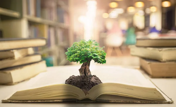 Conceito Dia Professor Árvore Grande Com Solo Abertura Livro Antigo — Fotografia de Stock